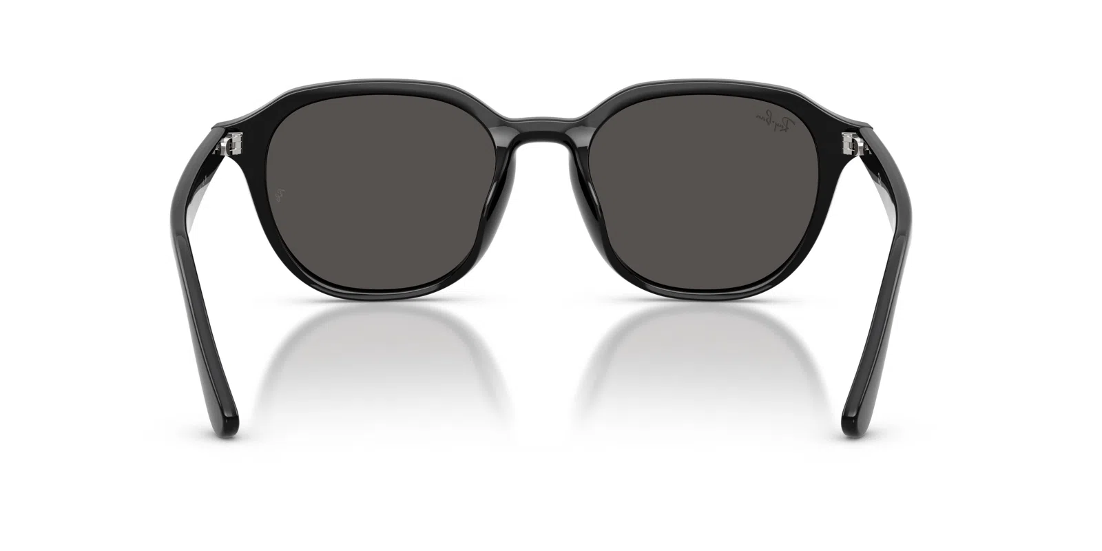 Ray-Ban 4459D Sunglasses - view 8